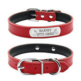 Custom Leather Cat Collar