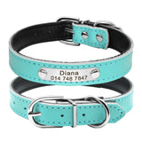 Custom Leather Cat Collar