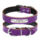 Custom Leather Cat Collar