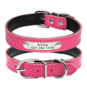 Custom Leather Cat Collar