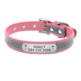 Custom Leather Cat Collar