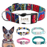 POD Custom Nylon Pet Collar