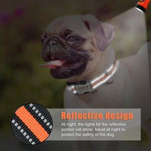 POD Custom Nylon Pet Collar