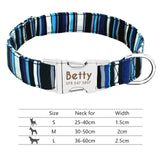 POD Custom Nylon Pet Collar