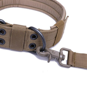 Large Dog Collar