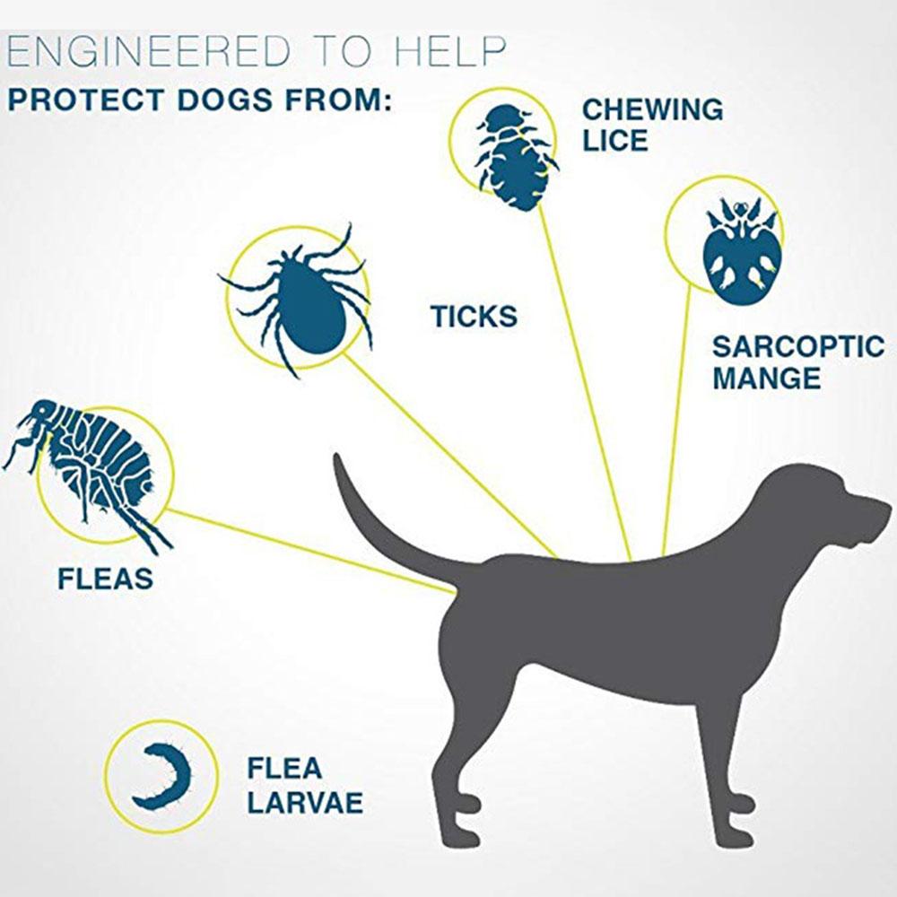 Pet Anti-Flea Tick Collar
