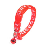 Colorful Bell Cat Collar