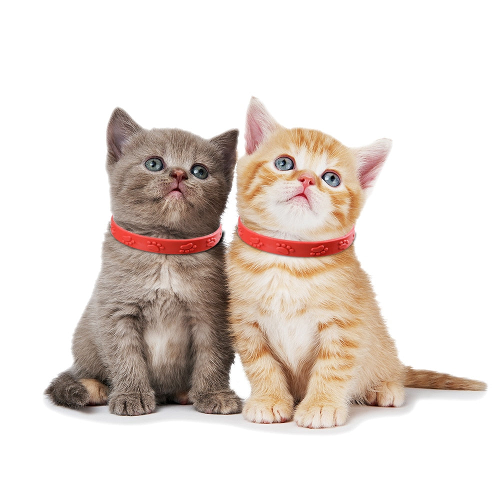 Cat Anti Flea Mite Tick Collar 3 Pcs
