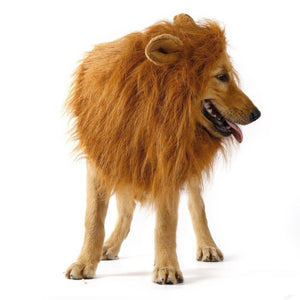 Dog Cosplay Lion Decoration