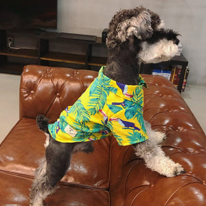 Hawaiian Style Printed Shirt