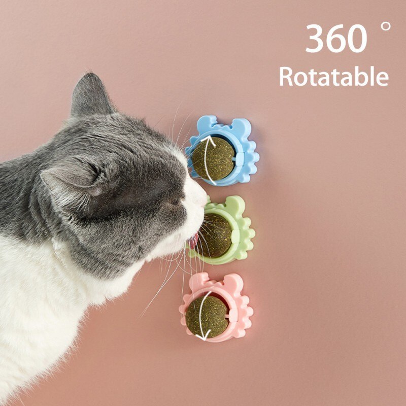 Catnip ball Toy For Cats