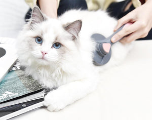 Massage Grooming Cat Brush