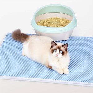 Cat Litter Mat Honeycomb Double Scatter Control Layer Mat for Kitty